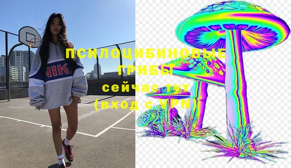 PSILOCYBIN Аркадак