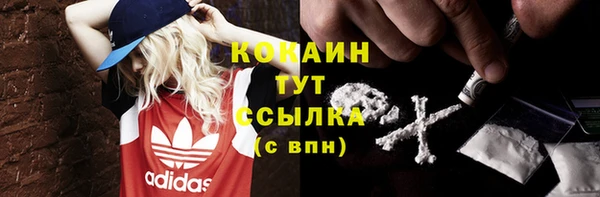 стаф Баксан