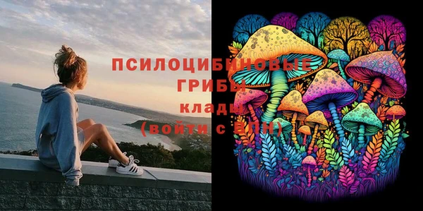 дмт Арсеньев
