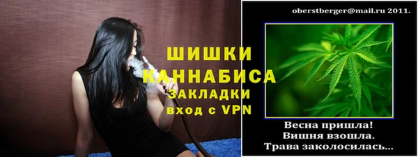 PSILOCYBIN Аркадак