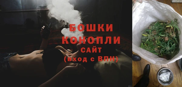 PSILOCYBIN Аркадак