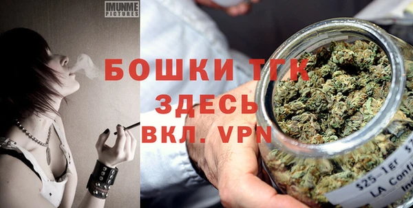 PSILOCYBIN Аркадак